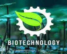 Certificate in Bio Technology