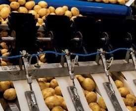 Advanced Diploma in Food Technology & Quality Control