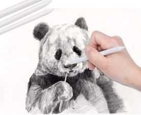 Certificate in Pencil Drawing